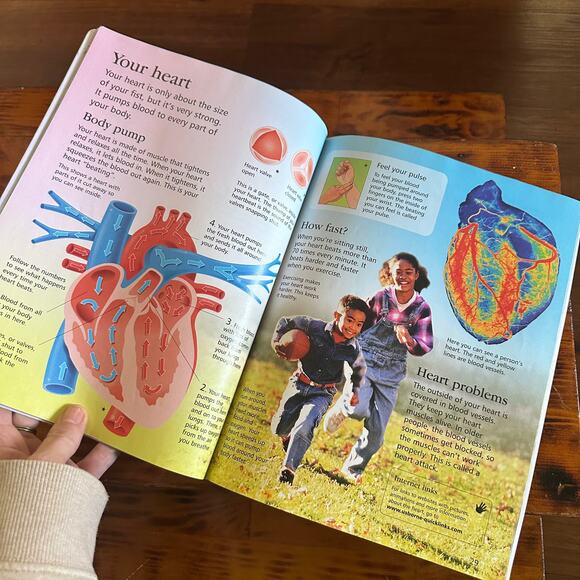 Scholastic Usborne First Encyclopedia Of The Human Body Paperback Book - Picture 6 of 11